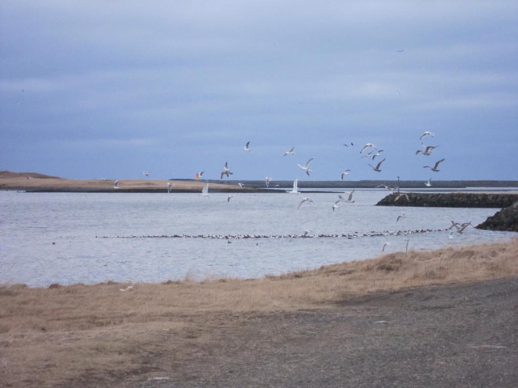 Apartment By The Sea Гепн Екстер'єр фото